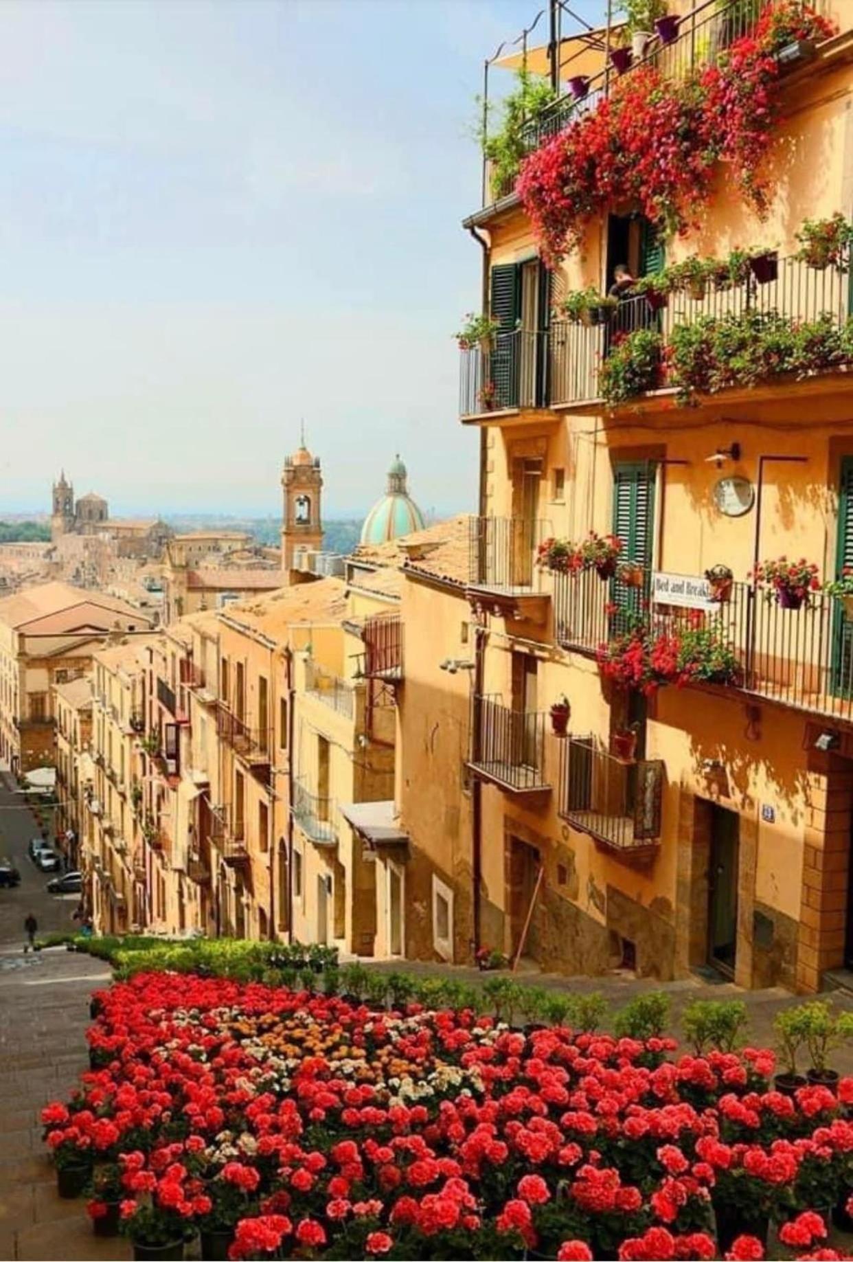 Casa Tipica Siciliana Patronale Home Bedandbreakfast Tremetrisoprailcielo Camere Con Vista, Colazione Interna In Terrazzo Panoramico Caltagirone Luaran gambar