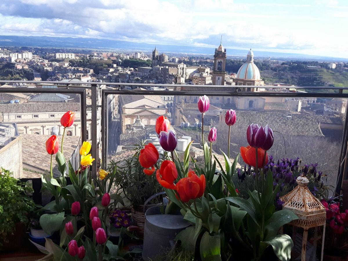 Casa Tipica Siciliana Patronale Home Bedandbreakfast Tremetrisoprailcielo Camere Con Vista, Colazione Interna In Terrazzo Panoramico Caltagirone Luaran gambar