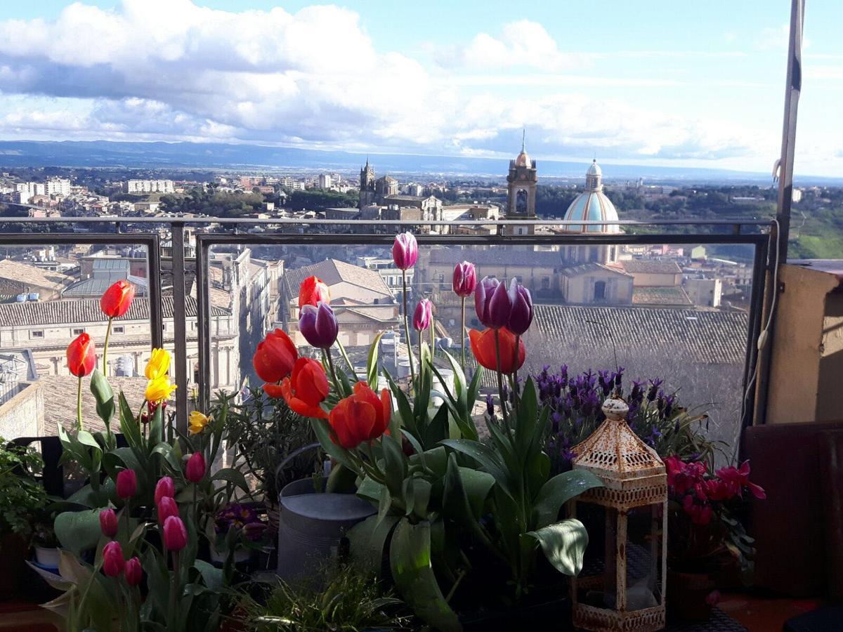 Casa Tipica Siciliana Patronale Home Bedandbreakfast Tremetrisoprailcielo Camere Con Vista, Colazione Interna In Terrazzo Panoramico Caltagirone Luaran gambar